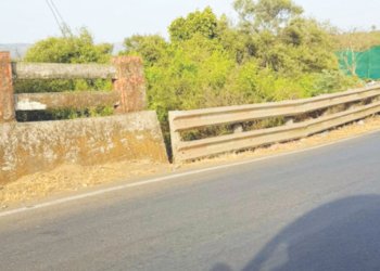 नितेश राणे यांच्या स्वागतासाठी कचऱ्यावर पडदा