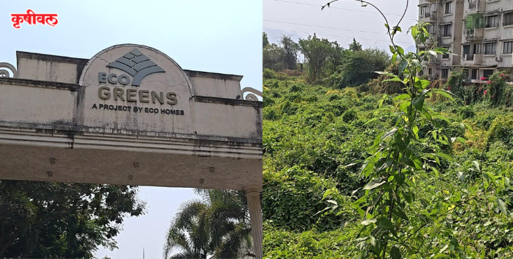 सांडपाणी सोडल्याने देऊळ वाडी येथील शेती नापीक