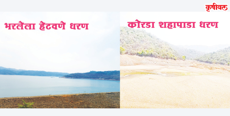 पाण्यासाठी खारेपाटातील नागरिकांची परवड