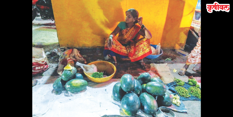 पिवळ्या कलिंगडाला संमिश्र प्रतिसाद