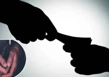 श्रद्धा बोऱ्हाडे यांना पोलीस कोठडी