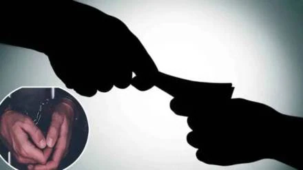 श्रद्धा बोऱ्हाडे यांना पोलीस कोठडी