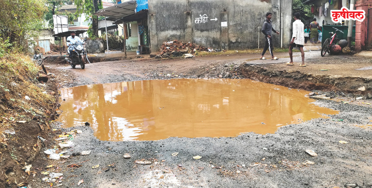 जिल्ह्याला गारपिटीसह झोडपले