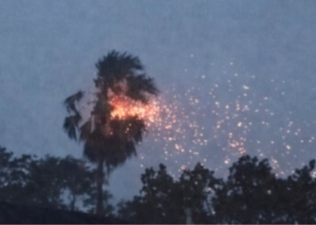 रेवदंडा परिसरात वीज कोसळून ताडाच्या झाडाला आग