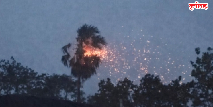 रेवदंडा परिसरात वीज कोसळून ताडाच्या झाडाला आग