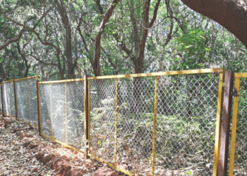 वन्य प्राण्यांच्या अधिवासावर धोका