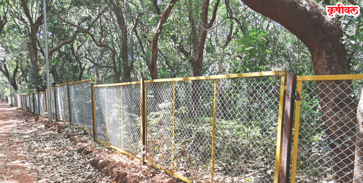 वन्य प्राण्यांच्या अधिवासावर धोका