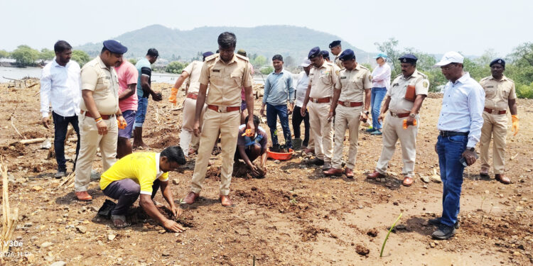 मुरूड फणसाड वन्यजीव अभयारण्यातर्फे वृक्षारोपण