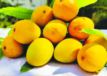 देवगडचा हापूस आंबा बाजारात दाखल