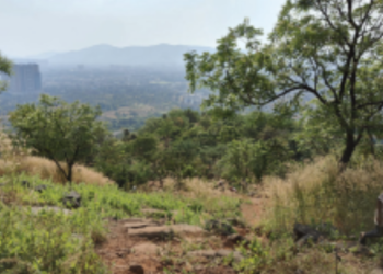 आदई हिलवर हरित क्रांती