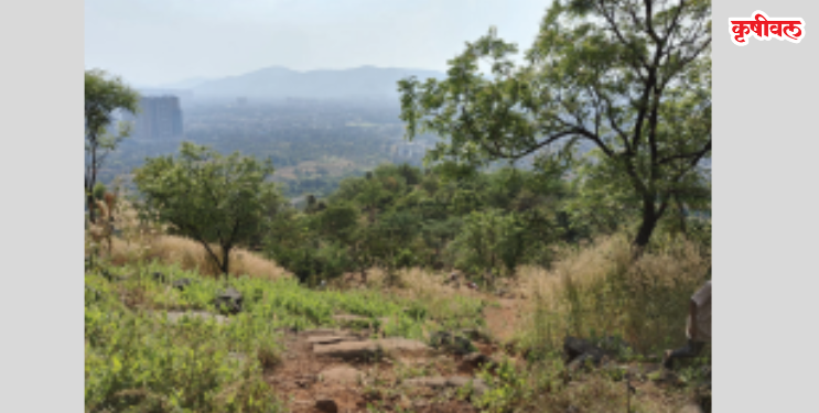 आदई हिलवर हरित क्रांती