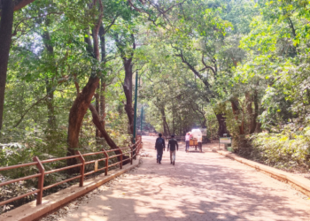 वनसमितीच्या कार्यकारिणीला विलंब