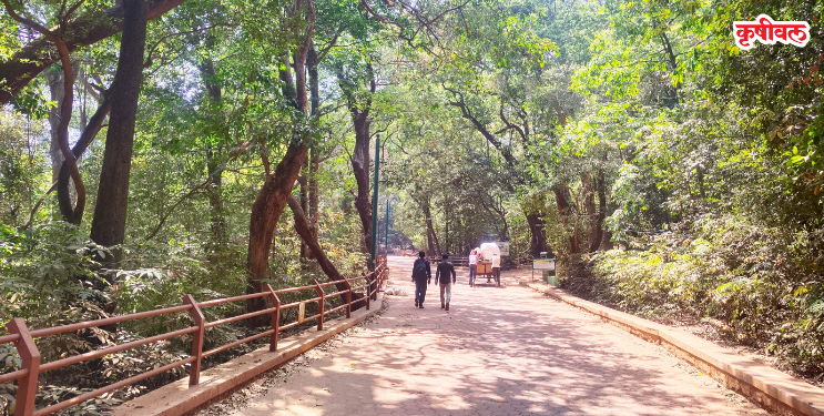 वनसमितीच्या कार्यकारिणीला विलंब