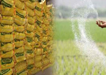 जिल्ह्यातील शेतकऱ्यांची चिंता मिटली