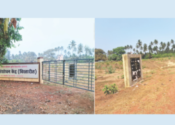 सुपारी संशोधन केंद्र कागदावरच