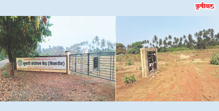 सुपारी संशोधन केंद्र कागदावरच