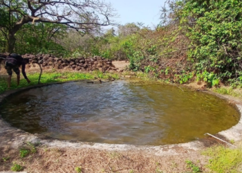 वन्यजीवांची तहान भागली