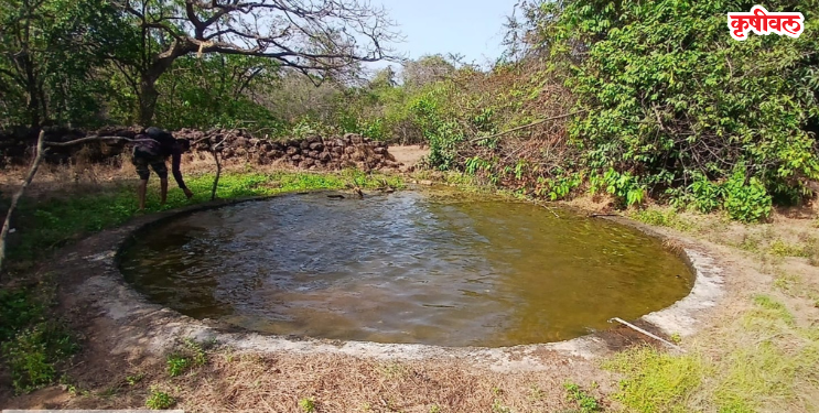 वन्यजीवांची तहान भागली