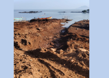 ताराबंदरमध्ये कांदळवनाची कत्तल सुरूच