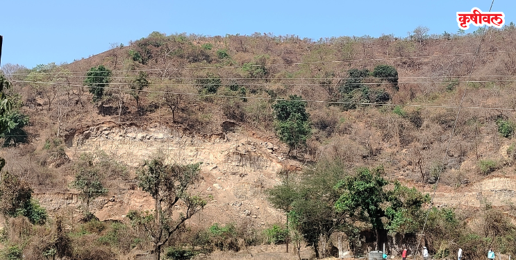 कृषीवल इफेक्ट! डिकसळमधील माती उत्खननाला ब्रेक