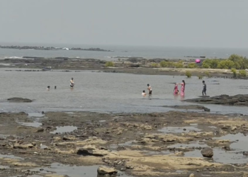 उरणमधील समुद्रकिनारे मृत्यूचा सापळा