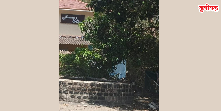 मटका माफिया गजाआड