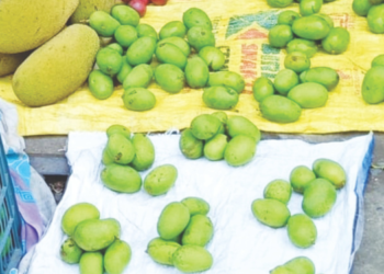 बाजारपेठांमध्ये गावरान कैऱ्या विक्रीसाठी दाखल