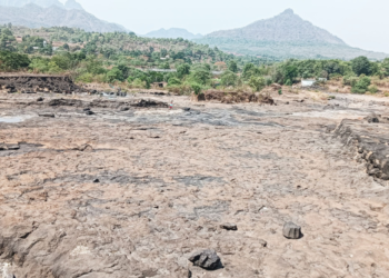 पनवेलच्या देहरंग धरणाला कोरड