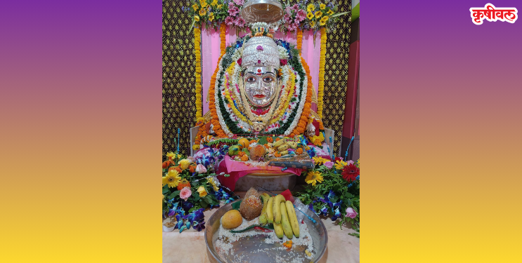 चौलमळा येथे आई कृष्णादेवीचा उत्सव सोहळा