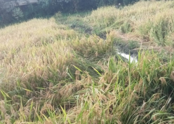 भूसंपादनाला शेतकऱ्यांचा विरोध कायम