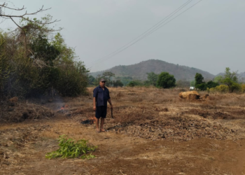 बळीराजा लागला कामाला