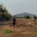 बळीराजा लागला कामाला