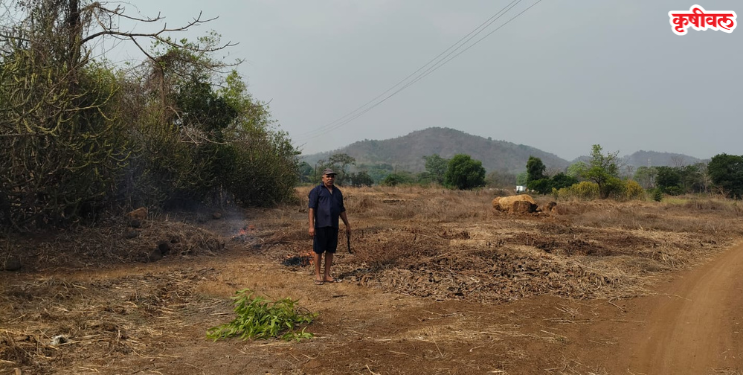 बळीराजा लागला कामाला