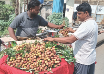 उन्हाळ्यात लिचीची बाजारात एंट्री