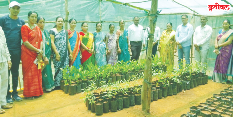 रोपवाटिकांच्या माध्यमातून रोजगार निर्मिती