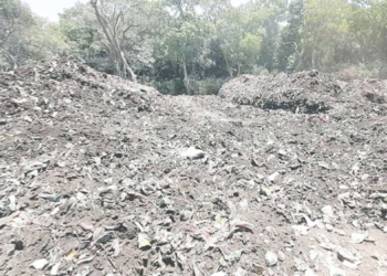 माथेरानमध्ये कचऱ्यावर वीजनिर्मिती