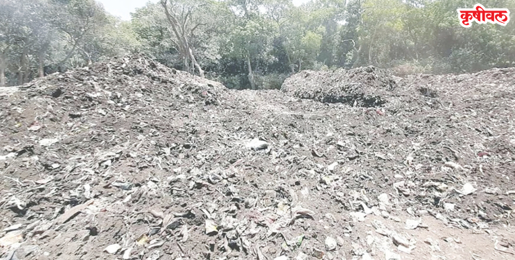 माथेरानमध्ये कचऱ्यावर वीजनिर्मिती