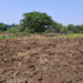माती उत्खननावर कारवाईची मागणी