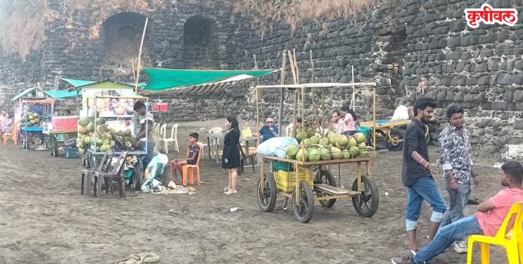 रेवदंडा समुद्र किनाऱ्यास पर्यटकांची पसंती; स्वच्छतेचा प्रश्न ऐरणीवर