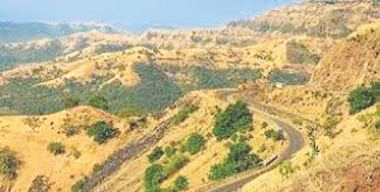 अणुस्कूरा घाटासाठी मास्टर प्लॅनची गरज