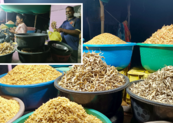 रायगडात सुक्या म्हावऱ्याची चलती