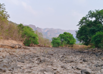टोरंट प्रकल्पाविरोधात उद्या पर्यावरणप्रेमींचा एल्गार