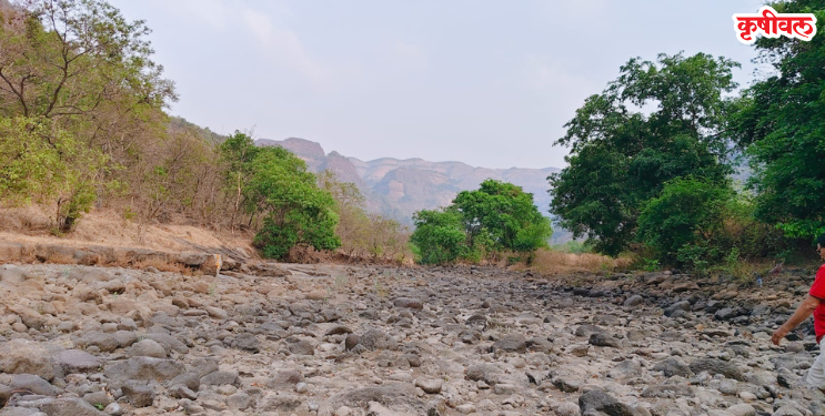 टोरंट प्रकल्पाविरोधात उद्या पर्यावरणप्रेमींचा एल्गार