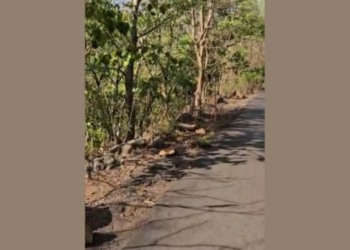 आंबेगणी घाटातील प्रवास जीवघेणा