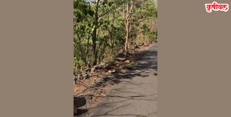 आंबेगणी घाटातील प्रवास जीवघेणा