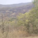 आदिवासी लोकांवर उपासमारीची वेळ