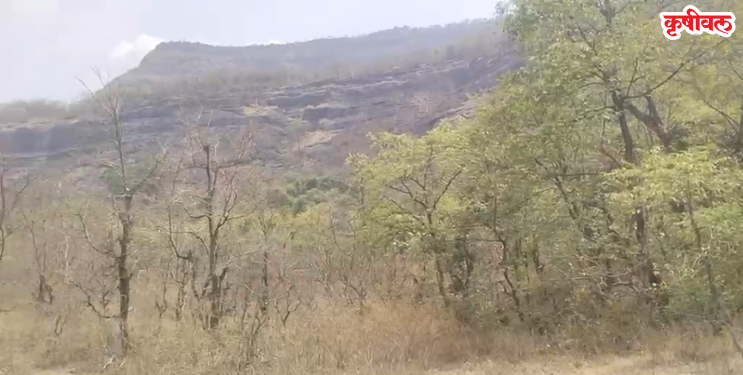 आदिवासी लोकांवर उपासमारीची वेळ