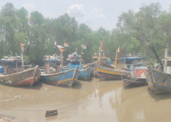 वशेणी केळवणे खाडीकिनारी जेट्टीची मागणी