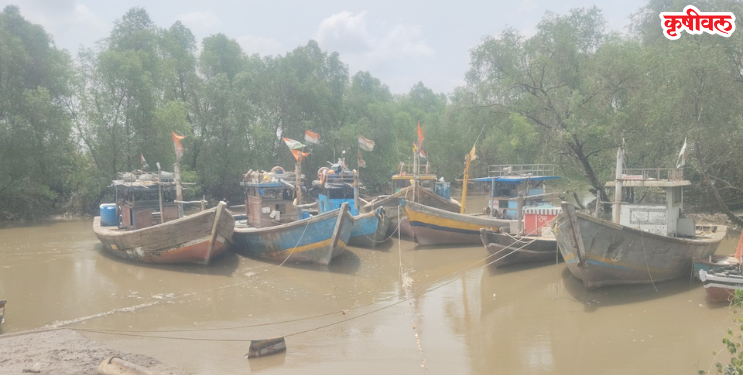 वशेणी केळवणे खाडीकिनारी जेट्टीची मागणी