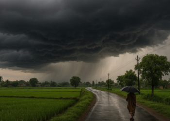 कोकणात पावसाचा अंदाज